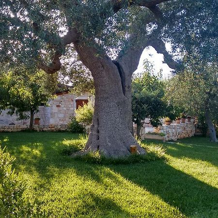 Il Giardino Degli Ulivi Bed & Breakfast Castellana Grotte Exterior photo